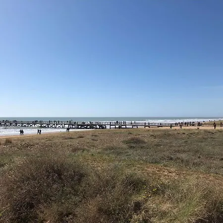 Appart. 2 Pieces A 100m De La Plage, 4 Couchages, Parking, Lave-vaisselle, Animaux Admis - Fr-1-224c-133 דירה סן ז'אן דה מון