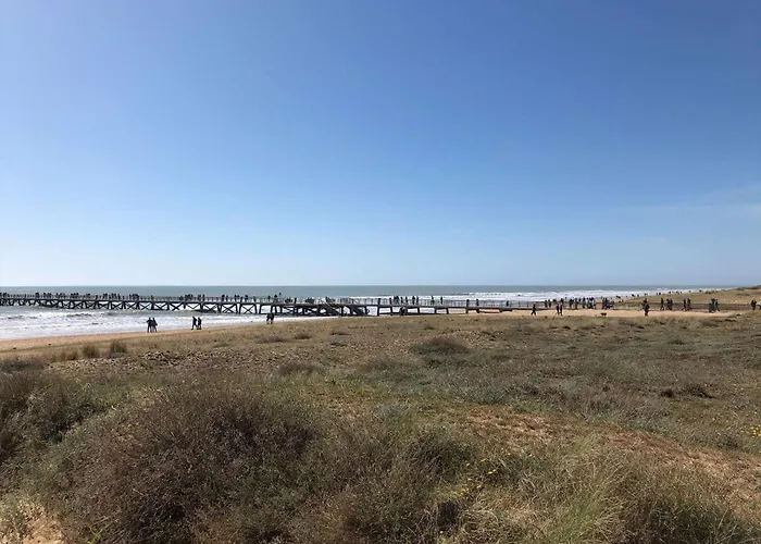 Appart. 2 Pieces A 100m De La Plage, 4 Couchages, Parking, Lave-vaisselle, Animaux Admis - Fr-1-224c-133 דירה סן ז'אן דה מון