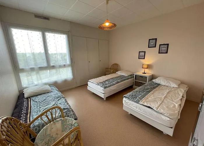 Appart. 2 Pieces A 100m De La Plage, 4 Couchages, Parking, Lave-vaisselle, Animaux Admis - Fr-1-224c-133 *